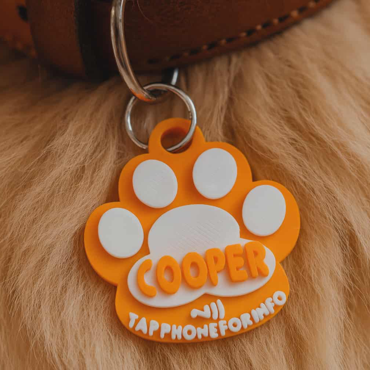 Pet Tags